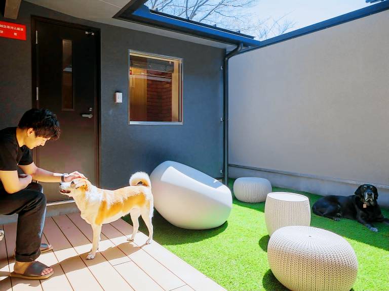 House with barbecue, terrace & sauna — photo 4