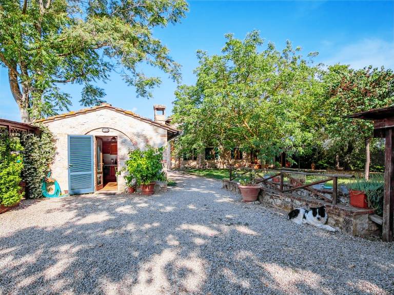 Dom Colle di Val d'Elsa