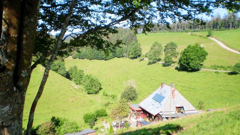 Ferienwohnung Wildgutach