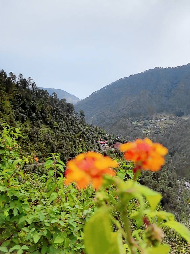 foto11