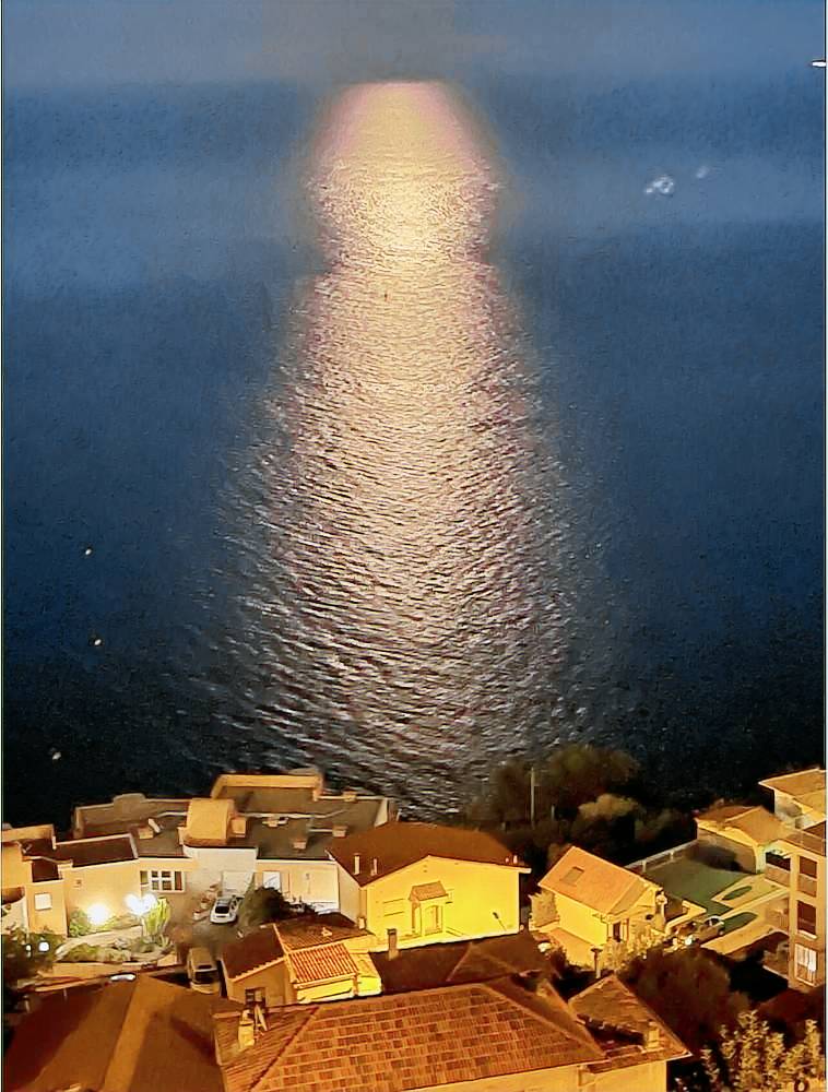 Appartement Monaco