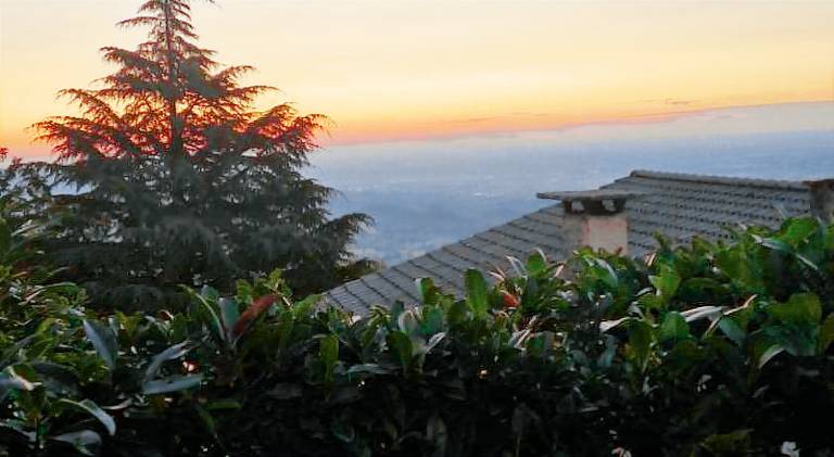 LE BETULLE B&B — photo 4