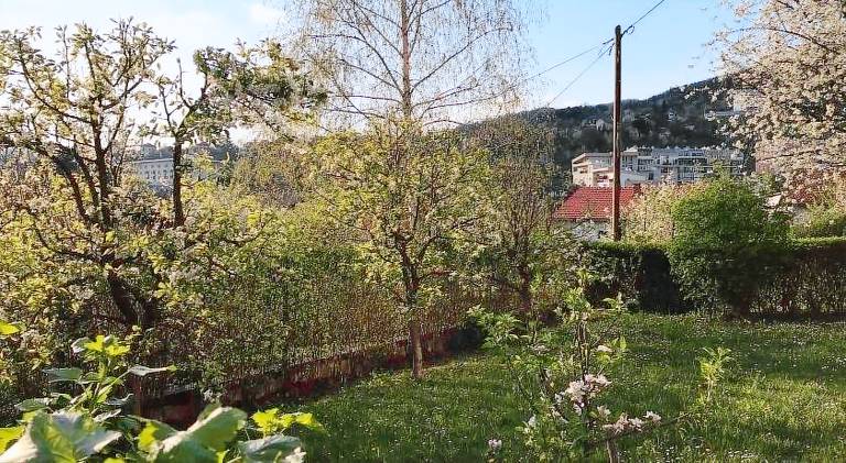 Apartma  Kobilja Glava