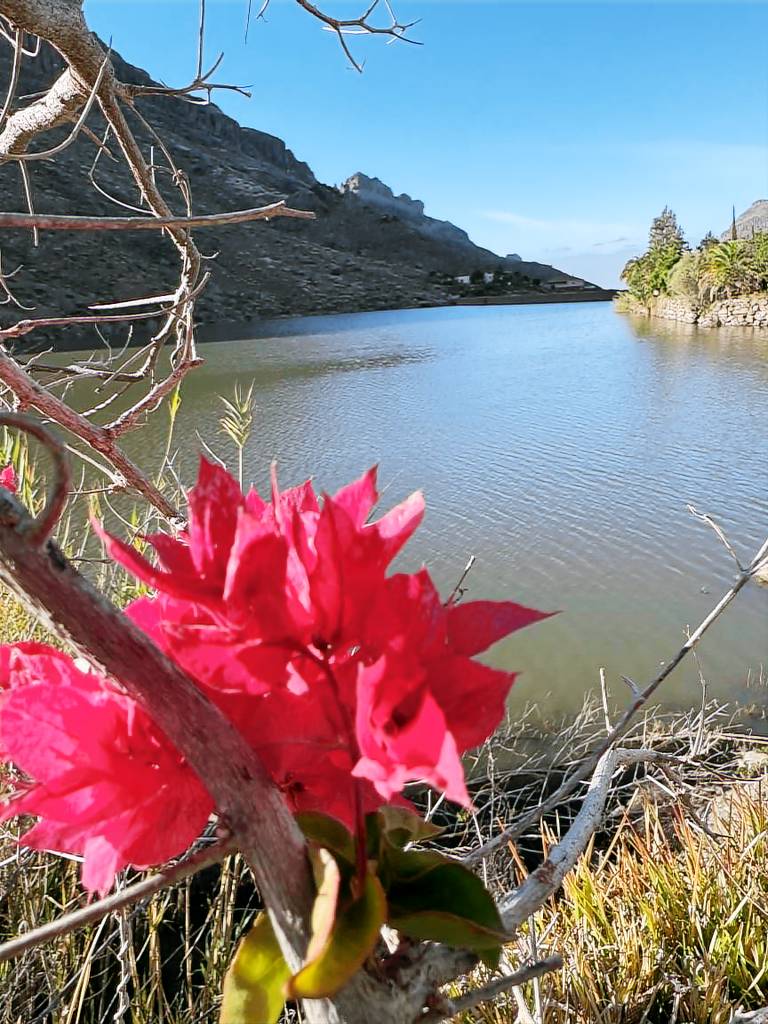 Ferienhaus mit Hund in San Bartolomé de Tirajana, Gran Canaria f&uuml;r max. 4 Personen am Atlantik