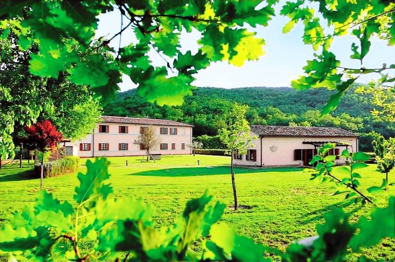 Agriturismo Corniolo Perugia: Il Girasole — photo 2