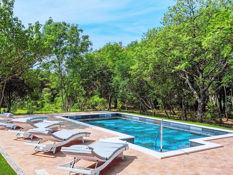 Ample vacation home with private pool, terrace & barbeque | Pets are welcome in Medulin