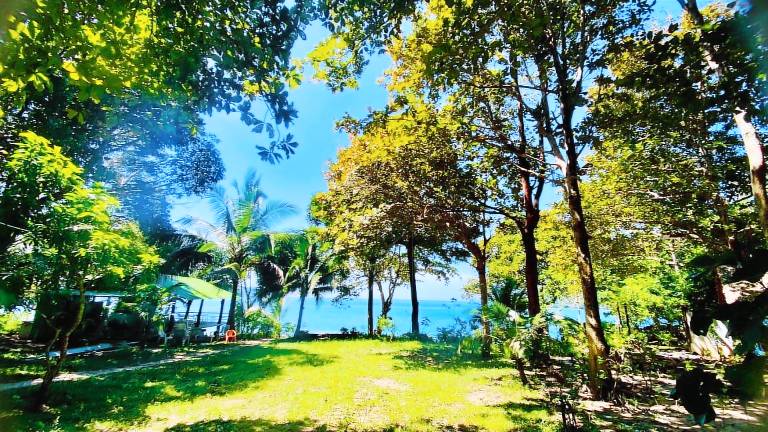 Banana Resort - Koh Phayam — photo 2
