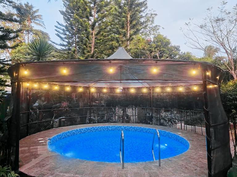 House with pool, grill & garden — photo 5