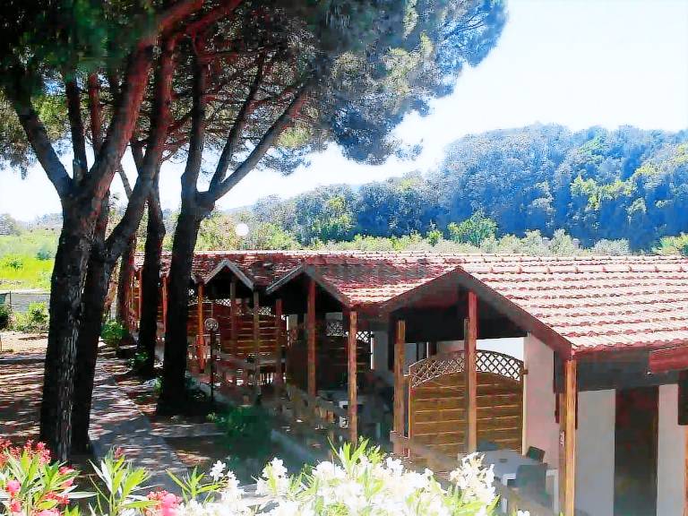 Bungalow with terrace | Next to the beach | Pets allowed — photo 4