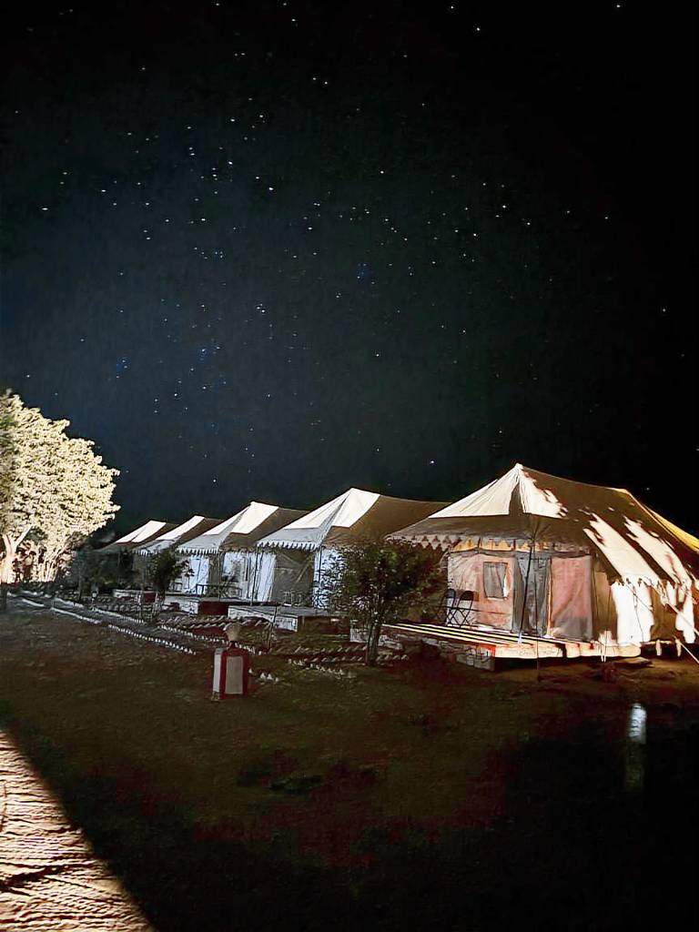 Chandani Desert Resort and Camp — photo 3