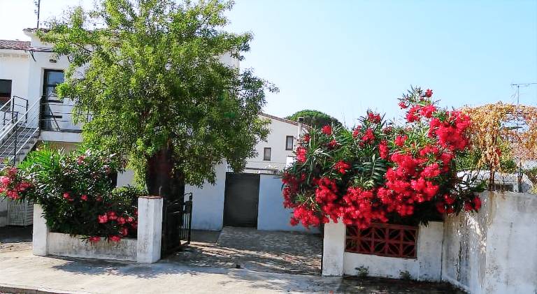 House with 3 rooms for 6 persons — photo 4