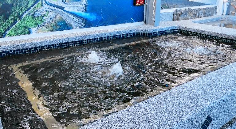 Kenting Maldives Hot Spring Hotel — photo 5