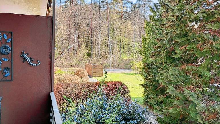 Ferienwohnung  Lembach