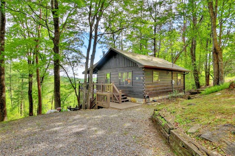 Cabin Ellijay