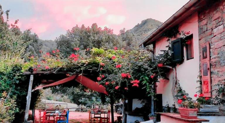 B&B Luna e Stelle — photo 3