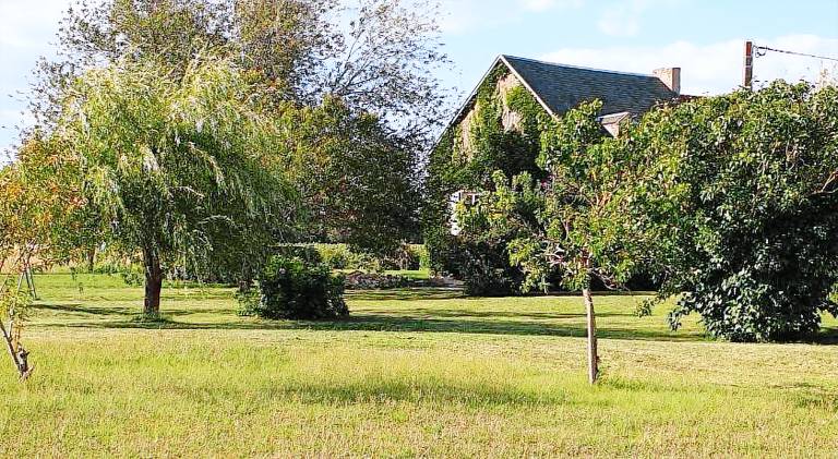 Wonderful vacation home | Pets are welcome — photo 5