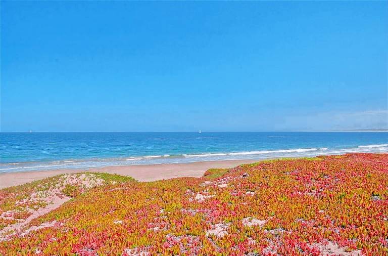 Ferienhaus Monterey