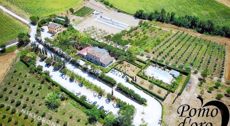 Farm with yard, terrace & pool in Fermo
