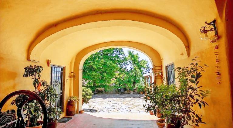 Beautiful farm with pool, yard & terrace | Pets are welcome — photo 3