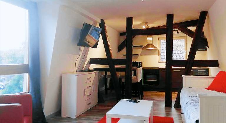 Wonderful rental apartment | Pets are welcome — photo 2