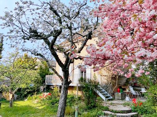 Bed & Breakfast Solothurn