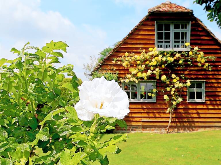 Children-friendly cottage with barbecue, patio & garden | Pets are welcome — photo 2