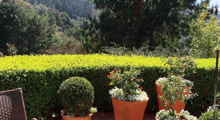 Passagem da Neblina - Bed & Breakfast — photo 5