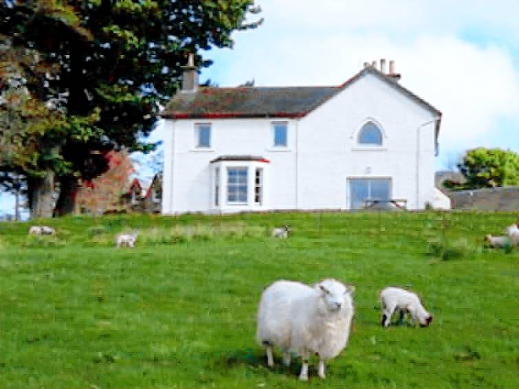 House Dunkeld
