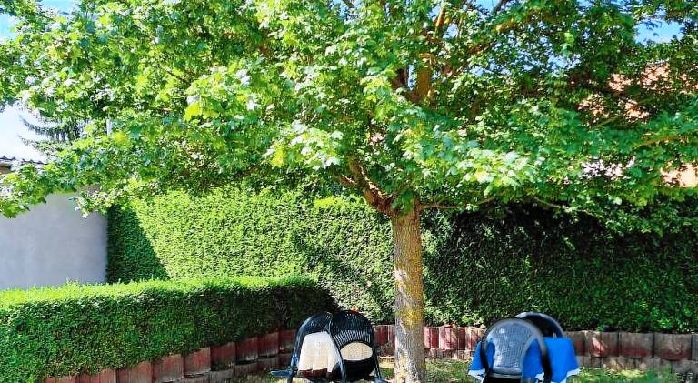 Bed & Breakfast Bad Kösen