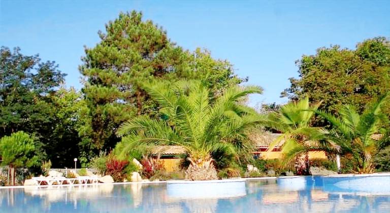 Pyla Chalet et mobilhom 6 personnes Magda — photo 3