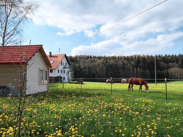 Ferienwohnung Memmingen