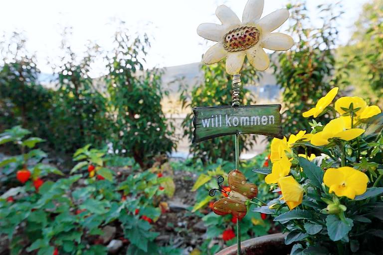 Ferienwohnung Brauneberg