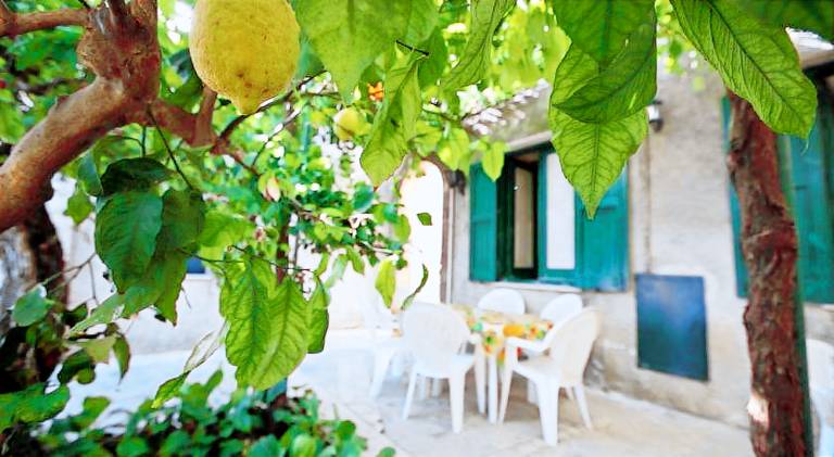 Apartment with garden in Erice