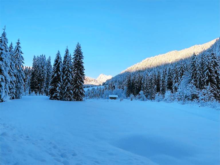 Ferienwohnung Tannheimer Tal