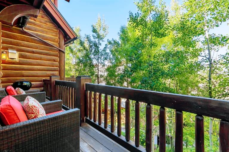 Cabin Telluride