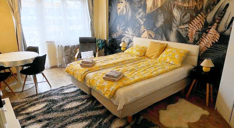 Rental apartment with 1 room for 4 persons in Budapest