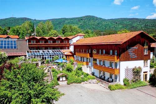 foto2