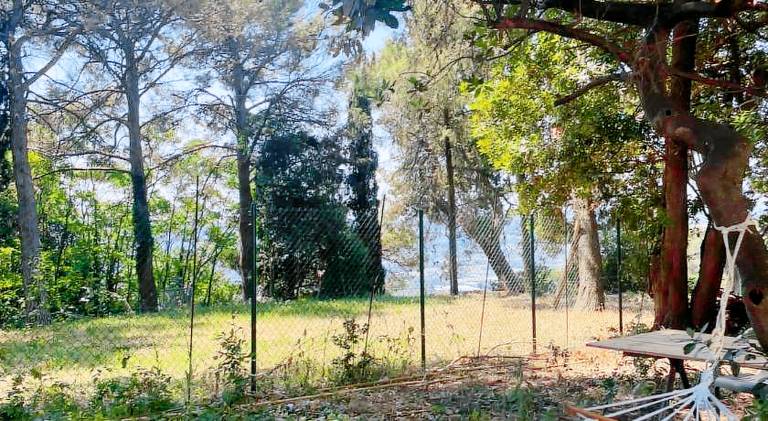 La Casa nel Parco — photo 4