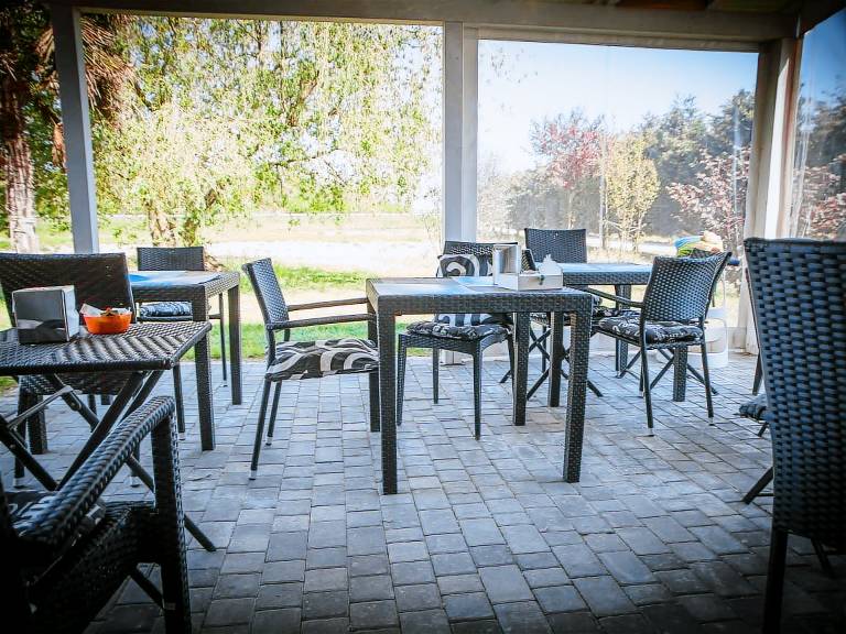 Fully equipped wonderful rental apartment with BBQ, yard & pool | Pet-friendly — photo 3