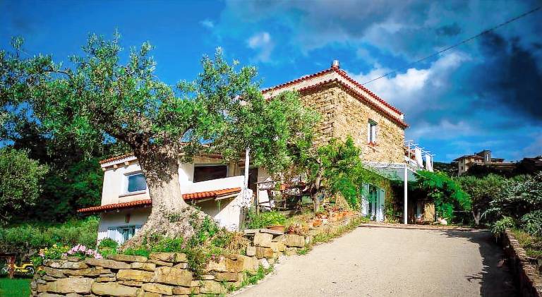 Lovely house | Pets allowed — photo 4