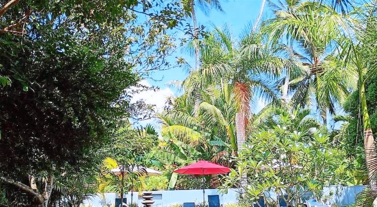 Affordable private villa for long and short family holiday in Hikkaduwa, Sri Lanka — photo 5