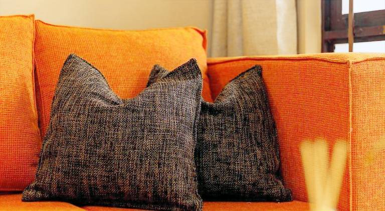 Wonderful rental apartment | Pets are welcome in Arusha