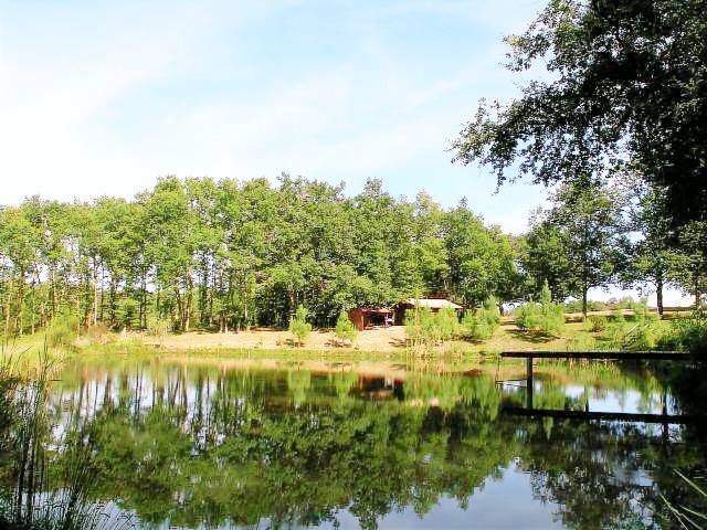 Villa with yard, barbeque & private pool | River view — photo 3