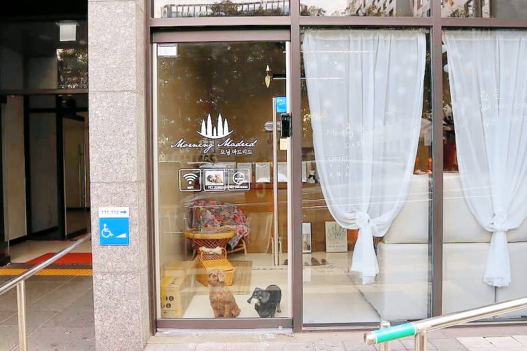 foto3