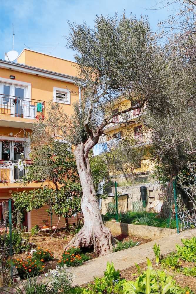 Holiday apartment with two bathrooms and terrace — photo 5