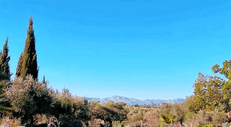 La Guzmana de Ronda in Ronda