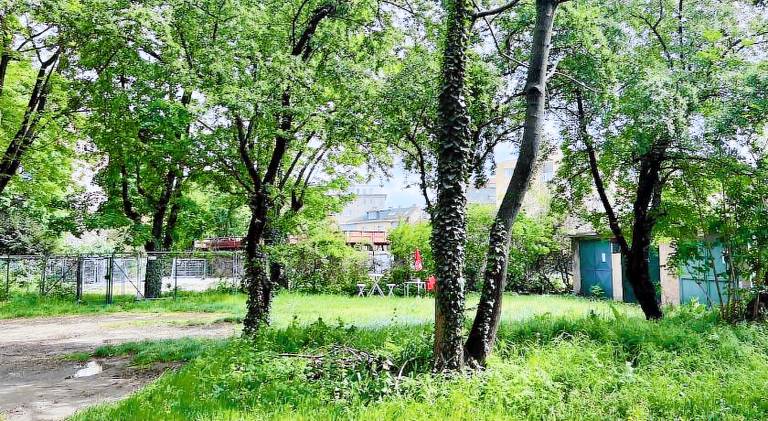 Rental apartment | Near Grassalkovich Palace | Dogs allowed — photo 5