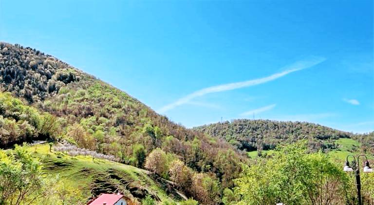 foto2