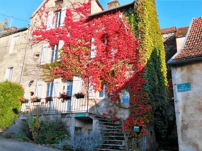 Nice bed and breakfast | Dogs allowed in Dijon