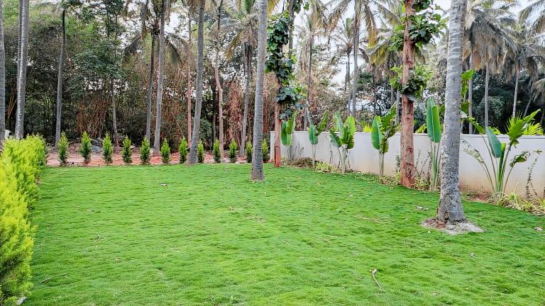 Suvida Resorts & Wedding Destiny — photo 4